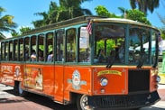 Disney Cruise Line Adventures in Key West, Featuring Trolley Tours