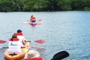 Disney Cruise Line Adventures in Key West, Featuring Kayaking