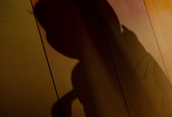 Where at the Disneyland Resort Can You Find This Shadow?
