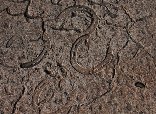 Horse Hoofs and Other Signs of Circus Life Made Their Way into the Concrete's Designs in New Fantasyland at Magic Kingdom Park