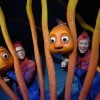 ‘Finding Nemo – The Musical’ at Disney’s Animal Kingdom