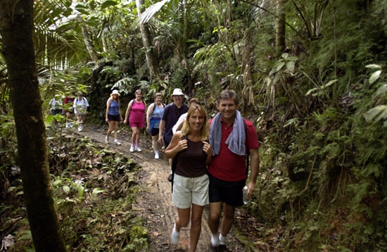 Visit El Yunque National Forest with Disney Cruise Line
