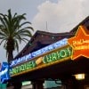 Disney Parks After Dark: Hollywood After Dark