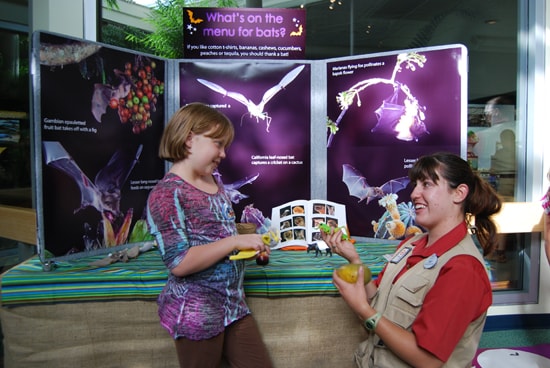 Guests Can Meet the Bat Keepers at Disney's Animal Kingdom