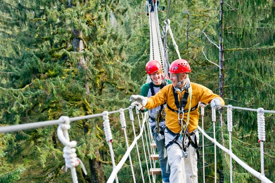 Venture to the Rainforest for a Thrilling Zip-Lining or Sky Bridge Adventure With Adventures by Disney Experiences on a Disney Cruise to Alaska