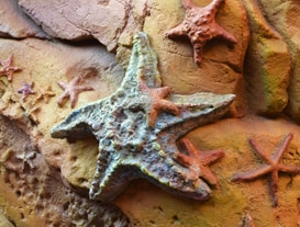 Exploring the Queue at Under the Sea ~ Journey of The Little Mermaid in New Fantasyland at Magic Kingdom Park