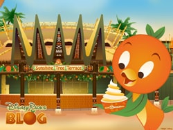 Desktop Wallpaper Featuring Orange Bird in Adventureland at Magic Kingdom Park at Walt Disney World Resort
