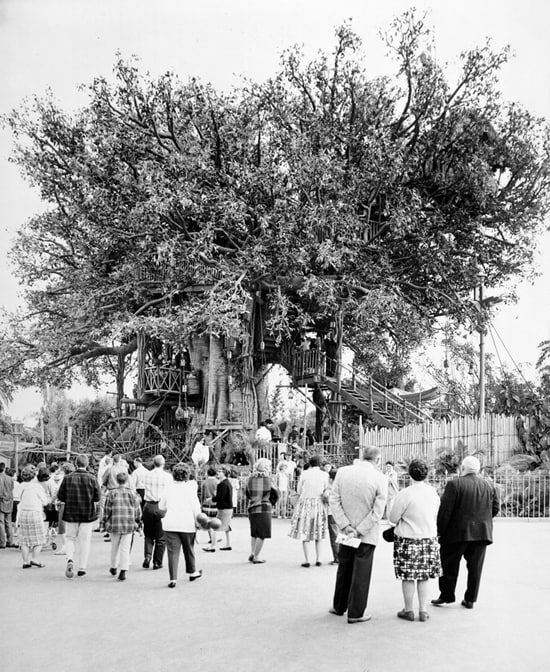 The Swiss Family Tree house in Disneyland Park at the Disneyland Resort