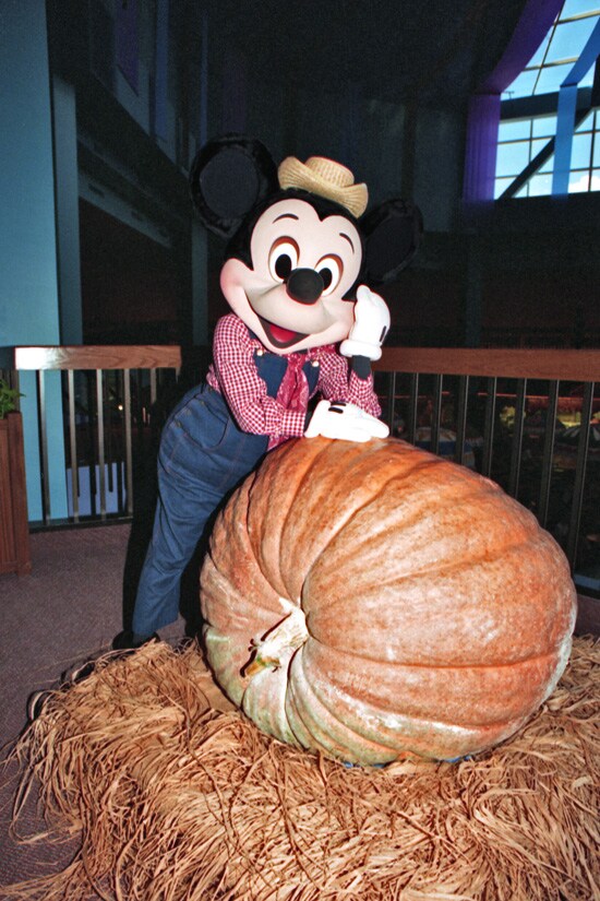 Mickey Mouse at The Land Pavilion in 1990