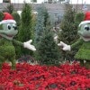 Celebrate the Holidays at the International Pavilions in Epcot at Walt Disney World Resort