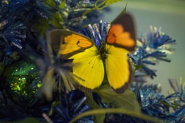 Holiday Décor on the Disney Fantasy