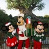 Disney’s Animal Kingdom – Holidays at Walt Disney World Resort