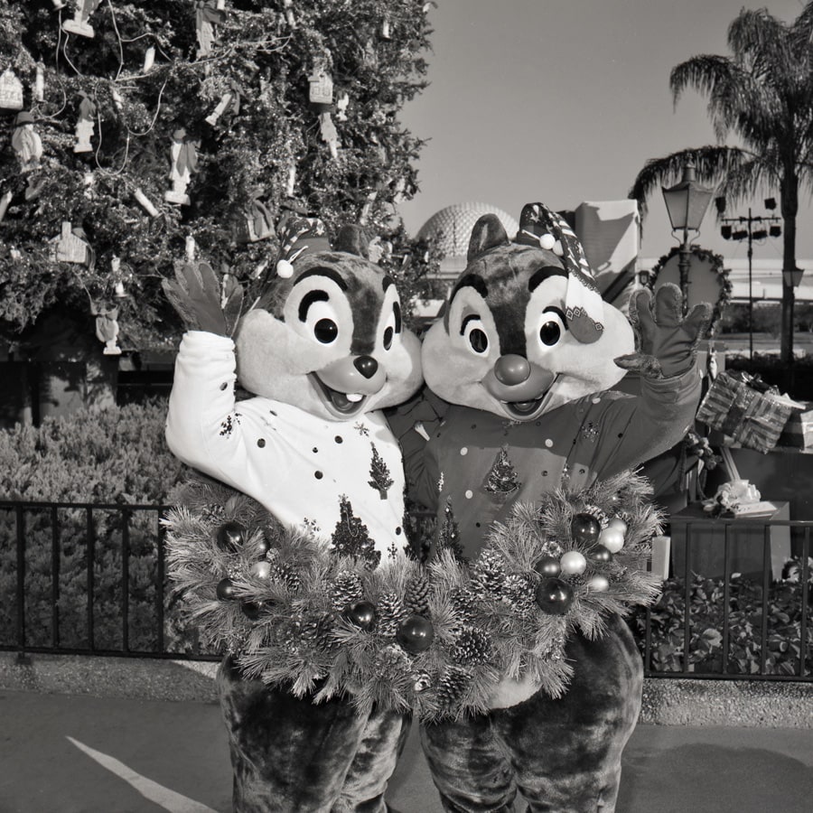 Chip 'n' Dale in a holiday wreath in the 1980 at Walt Disney World