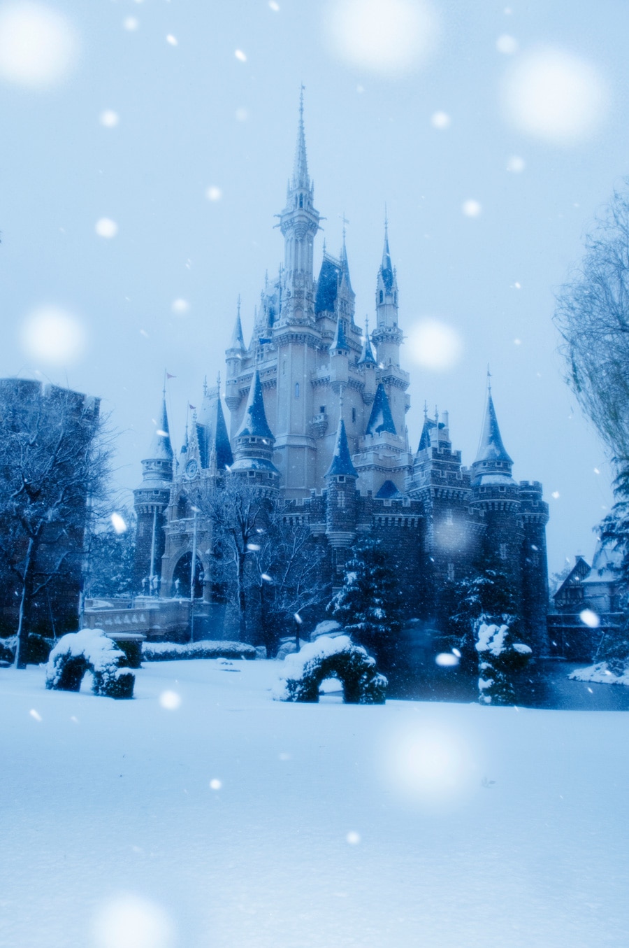 Snow Transforms Tokyo Disney Resort Into A Winter Wonderland Disney Parks Blog