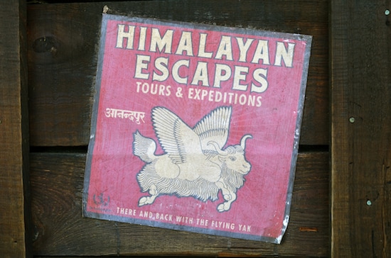 Can You Finish This Sign from Disney’s Animal Kingdom?