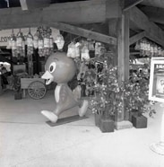 Orange Bird at Lake Buena Vista Shopping Village (Now Downtown Disney) in the 1970s