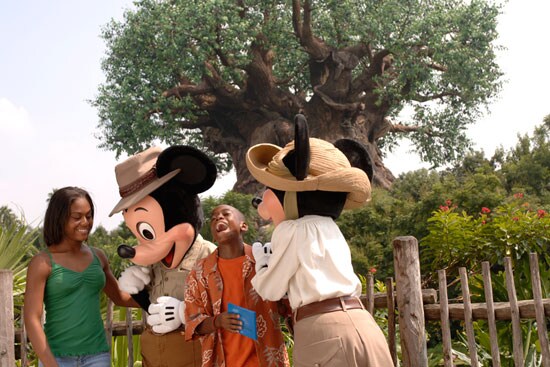 Meet Mickey and Minnie at the New Adventurers Outpost in Disney’s Animal Kingdom