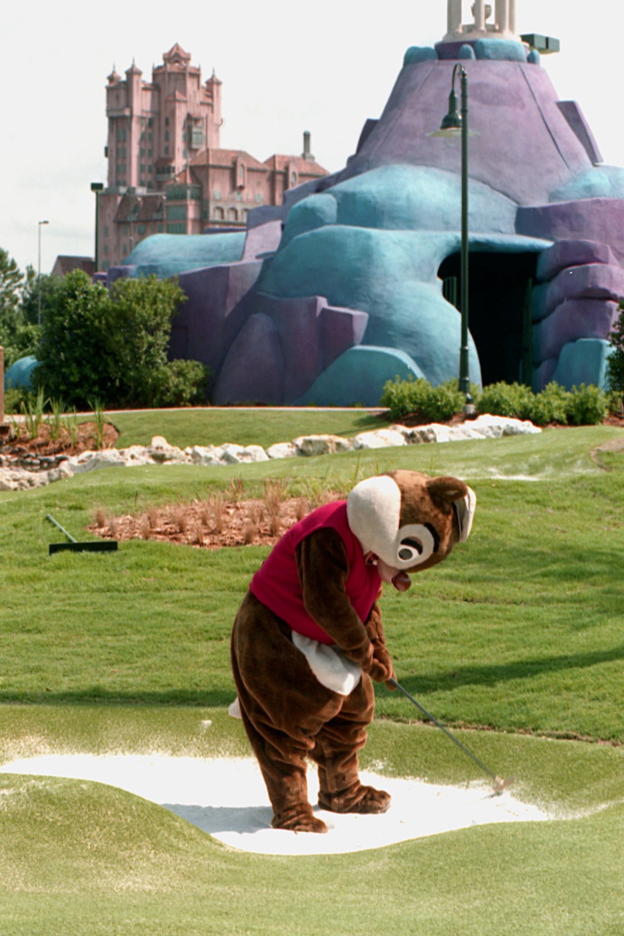 Caption This Dale Visits The Sand Trap At Fantasia Gardens