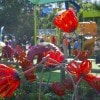The Land of Oz Garden at the Epcot International Flower & Garden Festival