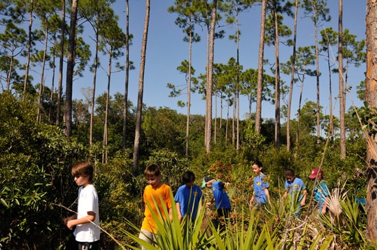 Wildlife Wednesdays: Disney Helps 60,000 Students Explore America’s National Parks
