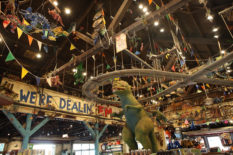 everything dinosaur shop