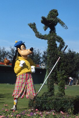 Goofy Admires His Topiary in 1985