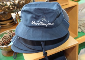 Make a Splash This Summer with Fun-in-the-Sun Merchandise from Disney Parks