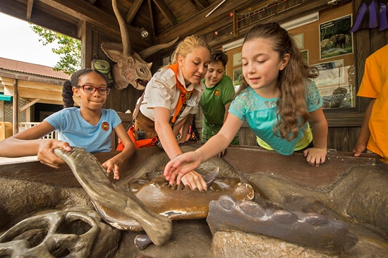Become A Wilderness Explorer at Disney's Animal Kingdom at Walt Disney World Resort | Disney Parks Blog