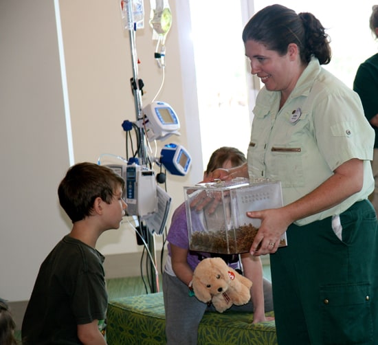 Fun Abounds When Kids, Cast Members and Animals Connect During Hospital Visits