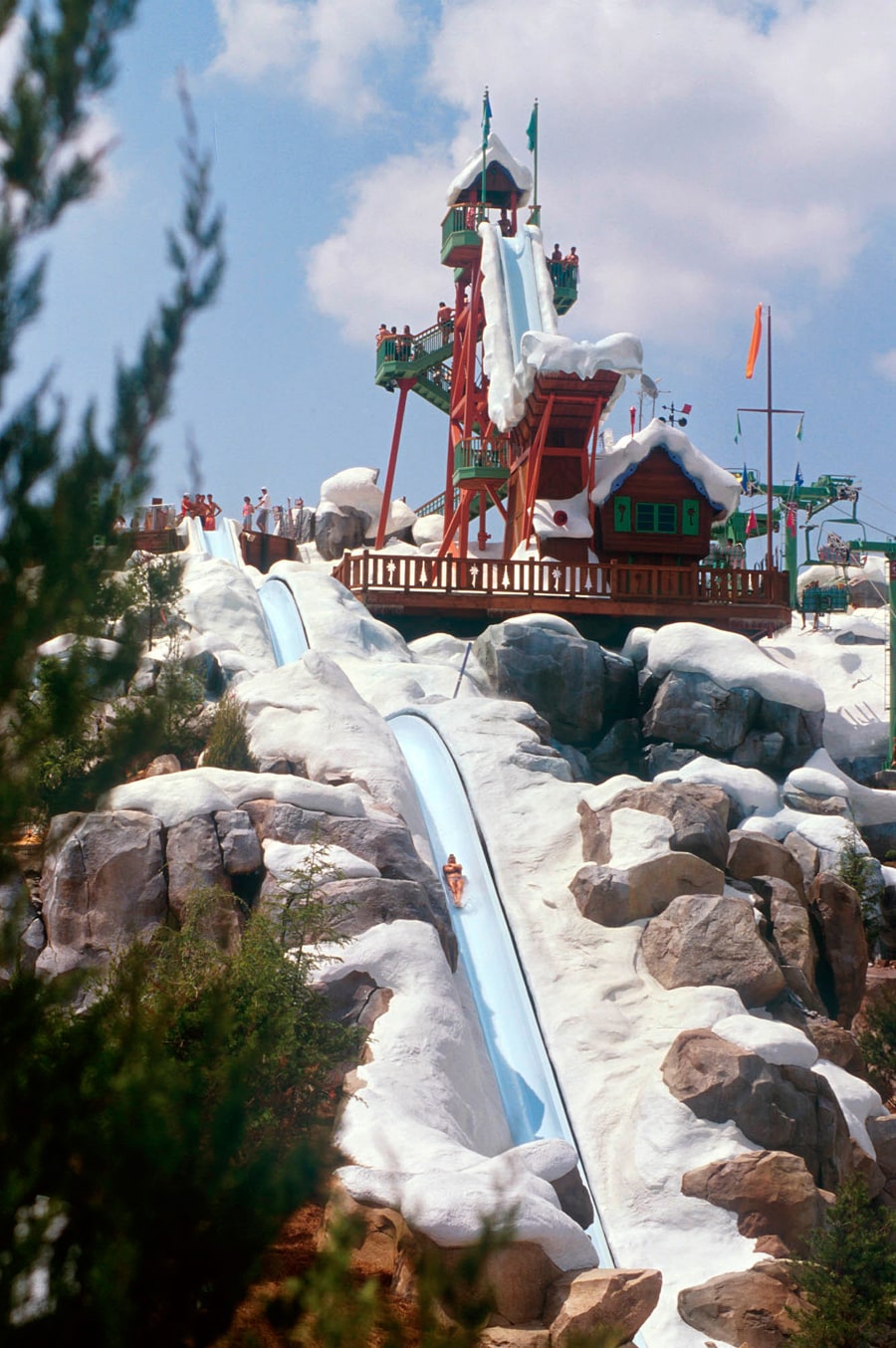 Five of the Coolest Water Slides at Walt Disney World ...