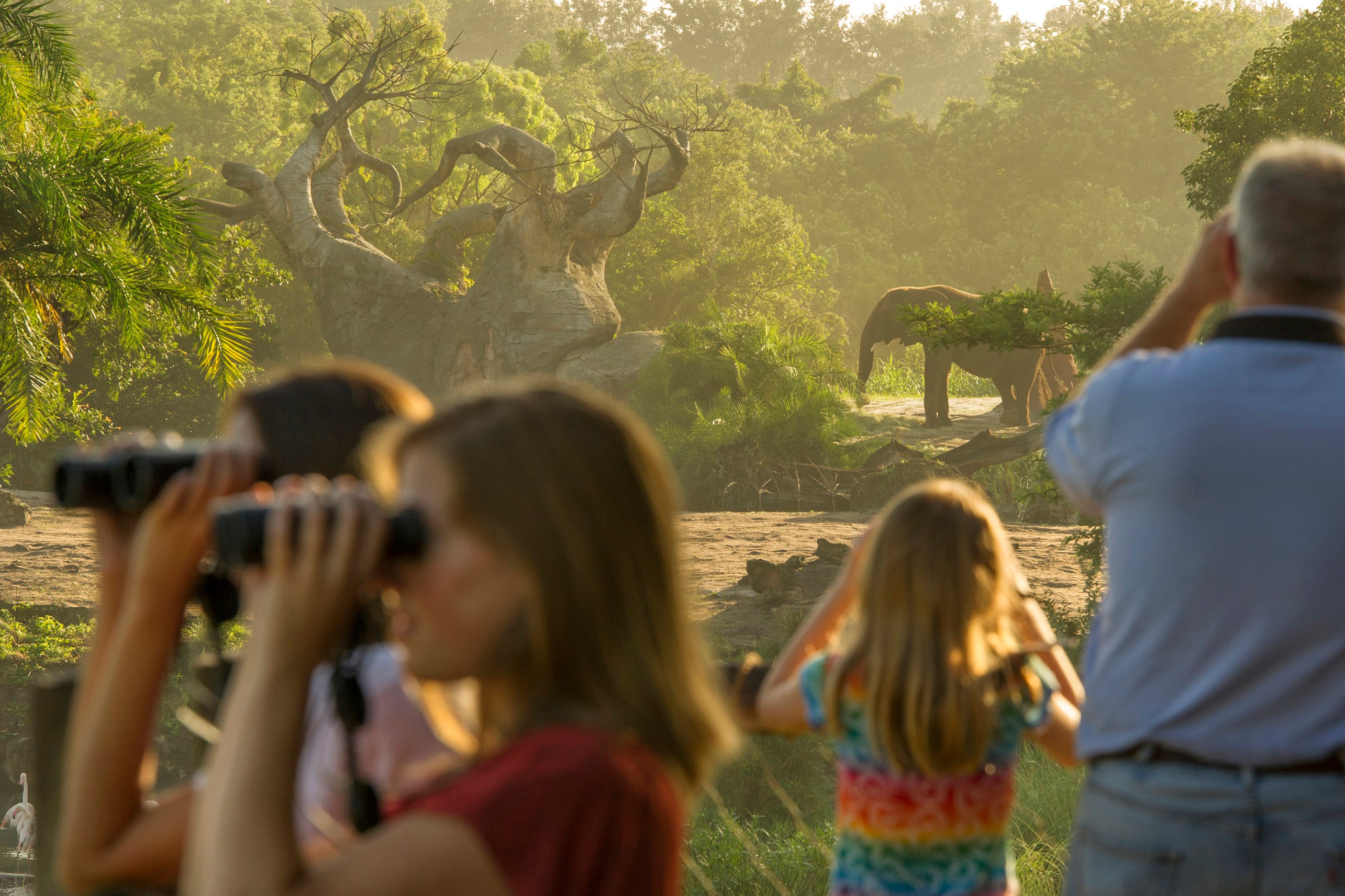 Wild Africa Trek Allows Guests to Explore a Different Side of Disney’s Animal Kingdom