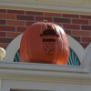 Pumpkins of Magic Kingdom Park