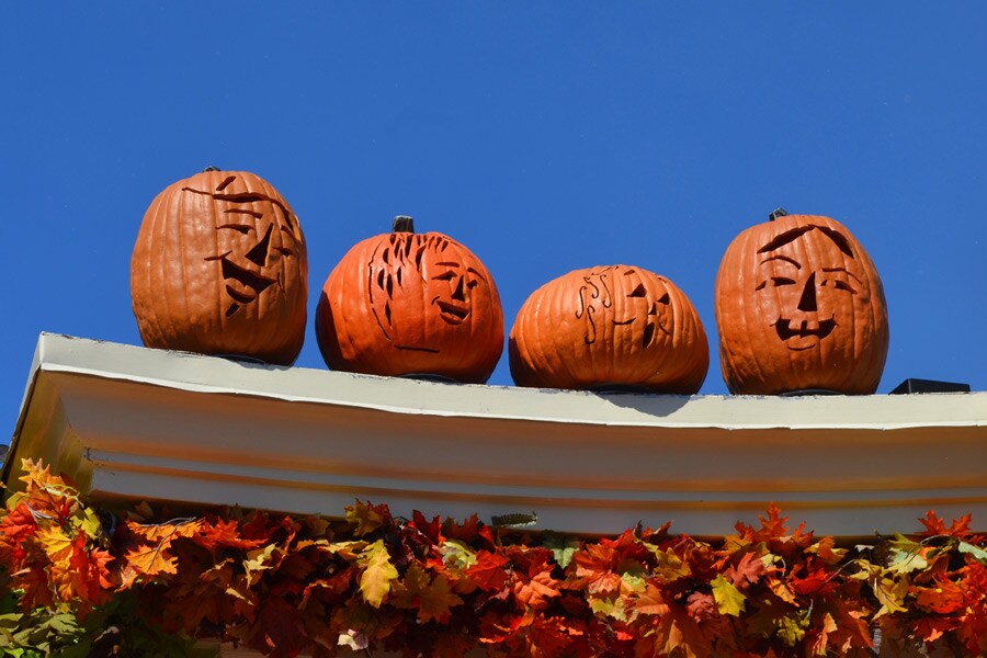 Pumpkins of Magic Kingdom Park