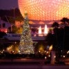 Enjoy the Holiday Season at Walt Disney World Resort