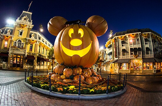 Mickey Mouse Pumpkin at Disneyland Park