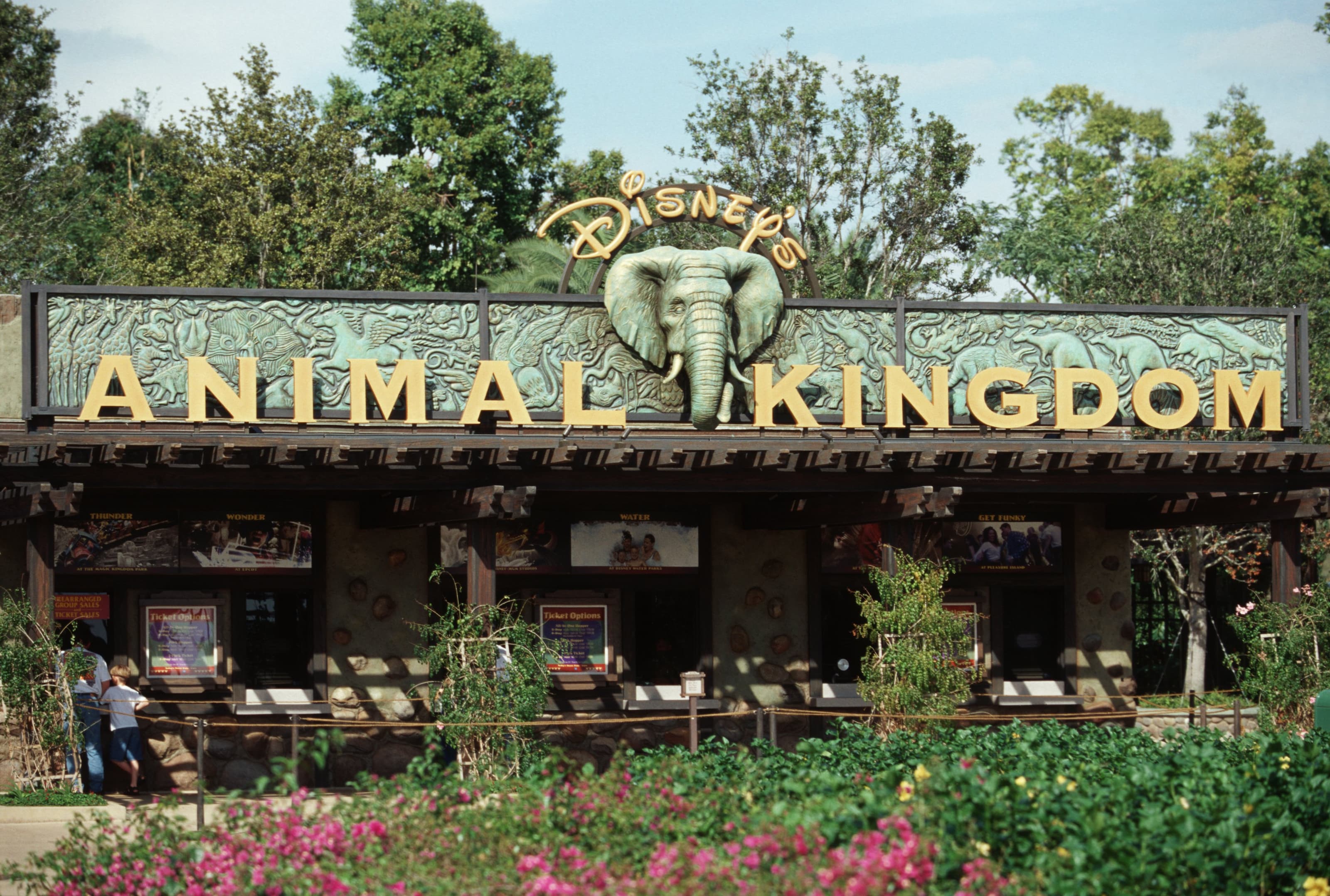 Sign Up for a Chance to Tour Backstage at Disney's Animal Kingdom Theme  Park | Disney Parks Blog