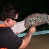 Imagineers Share the First Photos of Jingle Cruise at Magic Kingdom Park