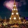 Holiday Celebrations Abound at Tokyo DisneySea