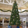 Christmas Tree at Disney’s Port Orleans Resort – Riverside