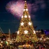 Christmas Trees at Disney Parks