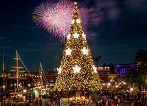 Christmas Trees at Disney Parks