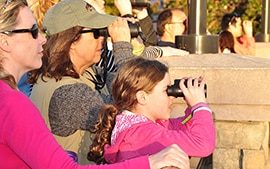 Wildlife Wednesdays: Guests Join 4th Annual Walt Disney World Resort Holiday Bird Count—Record Number of Birds Counted