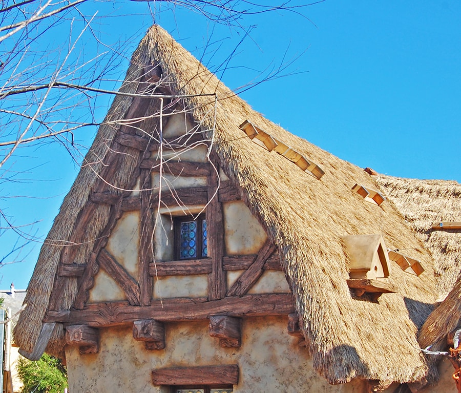 All In The Details The Seven Dwarfs Mine Train Cottage Close Up