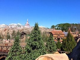 The View From the Top of Seven Dwarfs Mine Train at Magic Kingdom Park