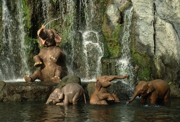 Jungle-Cruise-Elephants