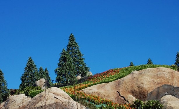 All in the Details: The Changing Terrain of Seven Dwarfs Mine Train