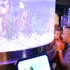 Wildlife Wednesdays: The Seas with Nemo & Friends Earns Praise for Conservation Efforts, Animal Care from Accrediting Association