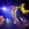 ‘Festival Of The Lion King’ at Disney’s Animal Kingdom