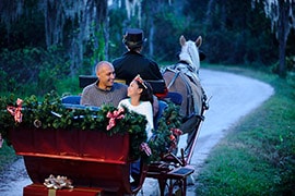 Wildlife Wednesday: It’s Lovely Weather To Book A Sleigh Ride Together With You at Walt Disney World! 