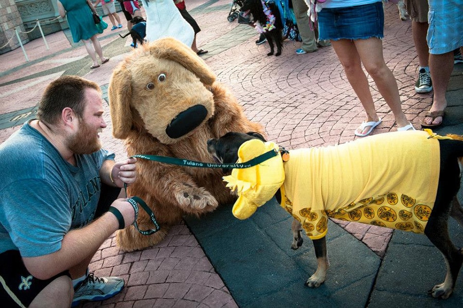 A Disney Side Dog’s Day at Magic Kingdom Park Event Disney Parks Blog